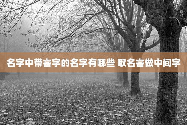 名字中带睿字的名字有哪些 取名睿做中间字