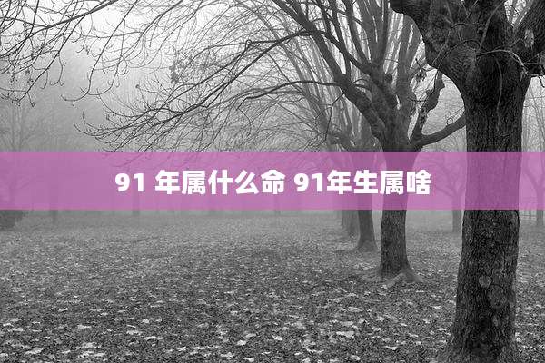 91 年属什么命 91年生属啥