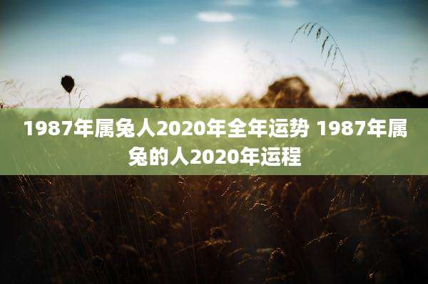 1987年属兔人2020年全年运势 1987年属兔的人2020年运程