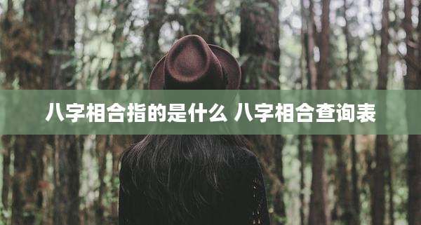 八字相合指的是什么 八字相合查询表