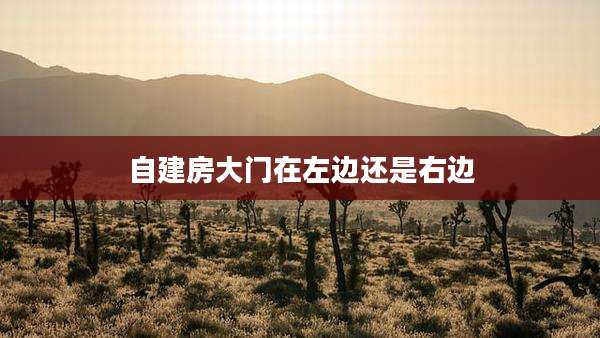自建房大门在左边还是右边