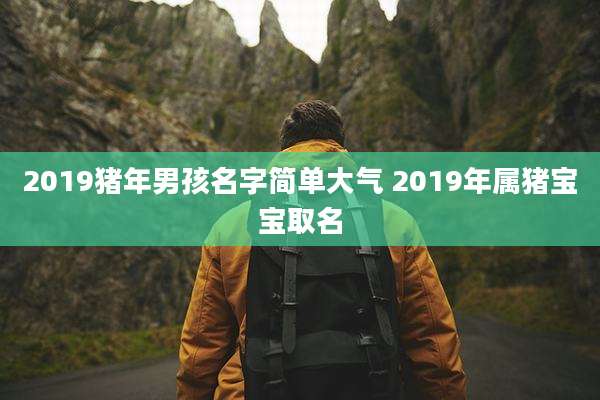 2019猪年男孩名字简单大气 2019年属猪宝宝取名