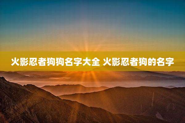 火影忍者狗狗名字大全 火影忍者狗的名字