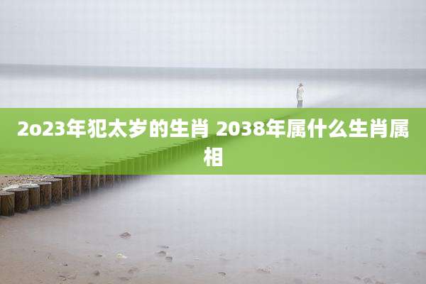 2o23年犯太岁的生肖 2038年属什么生肖属相