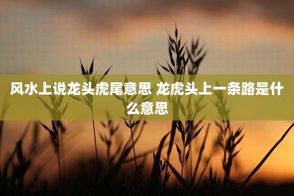 风水上说龙头虎尾意思 龙虎头上一条路是什么意思
