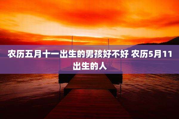 农历五月十一出生的男孩好不好 农历5月11出生的人