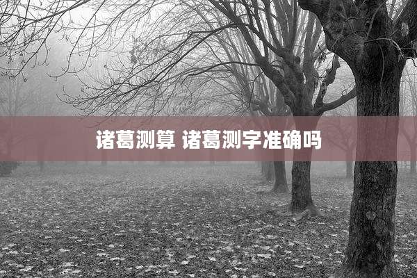 诸葛测算 诸葛测字准确吗