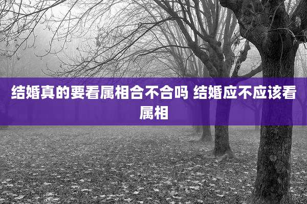 结婚真的要看属相合不合吗 结婚应不应该看属相