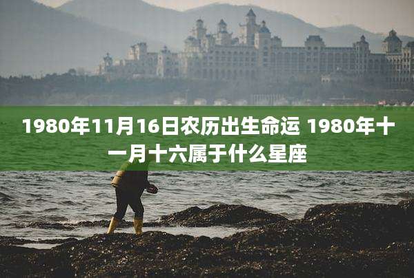 1980年11月16日农历出生命运 1980年十一月十六属于什么星座
