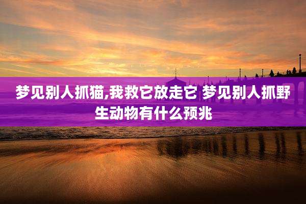 梦见别人抓猫,我救它放走它 梦见别人抓野生动物有什么预兆