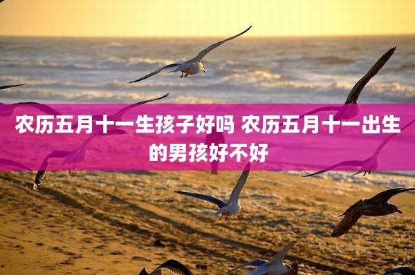 农历五月十一生孩子好吗 农历五月十一出生的男孩好不好