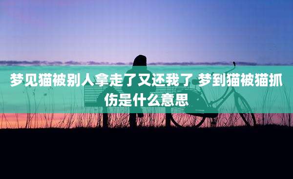 梦见猫被别人拿走了又还我了 梦到猫被猫抓伤是什么意思