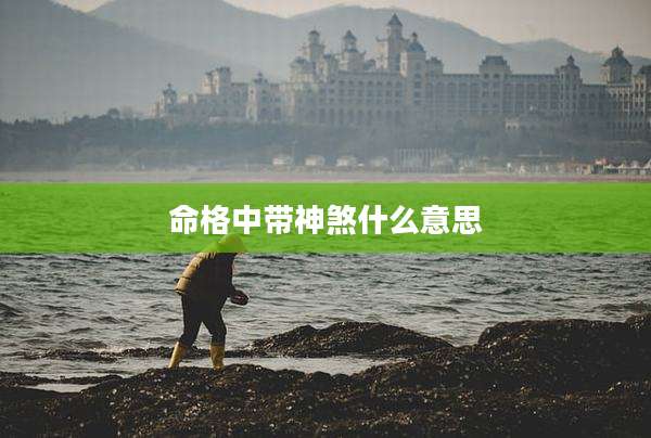 命格中带神煞什么意思