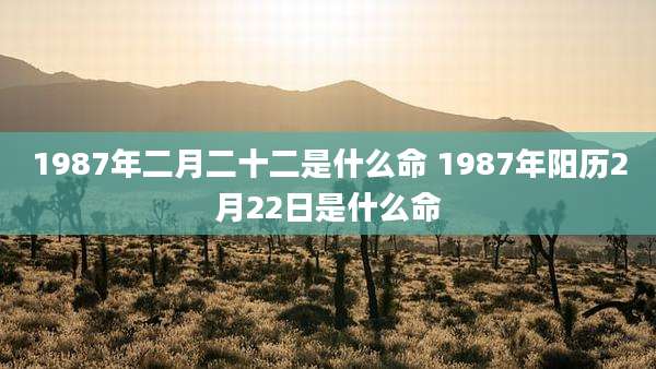 1987年二月二十二是什么命 1987年阳历2月22日是什么命