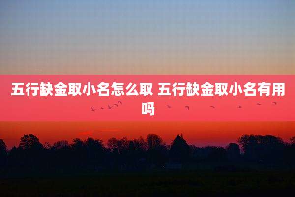 五行缺金取小名怎么取 五行缺金取小名有用吗