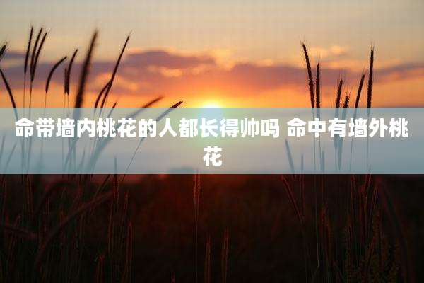 命带墙内桃花的人都长得帅吗 命中有墙外桃花