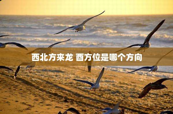 西北方来龙 酉方位是哪个方向