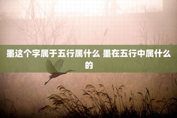 墨这个字属于五行属什么 墨在五行中属什么的