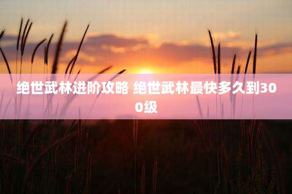绝世武林进阶攻略 绝世武林最快多久到300级