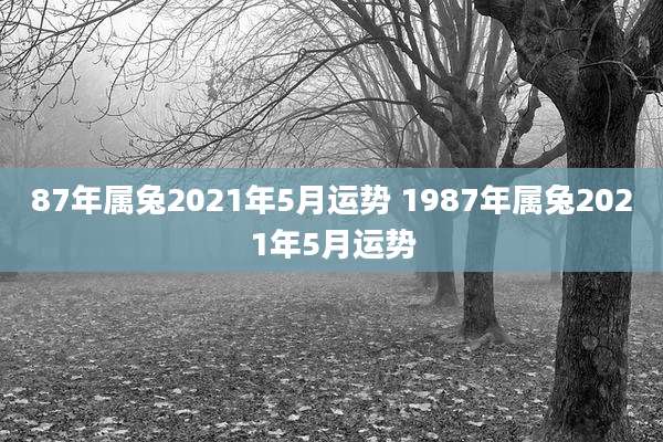87年属兔2021年5月运势 1987年属兔2021年5月运势