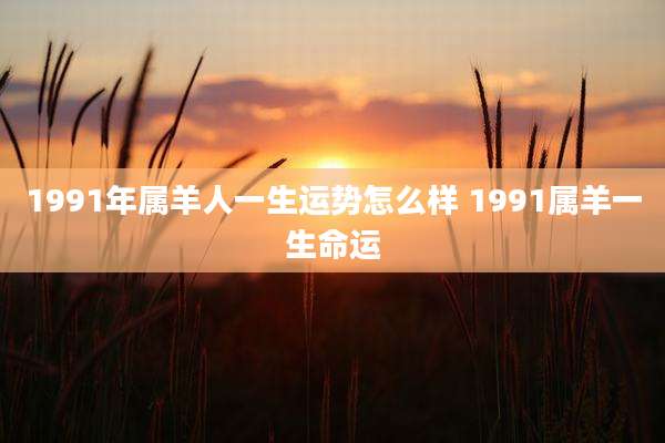 1991年属羊人一生运势怎么样 1991属羊一生命运