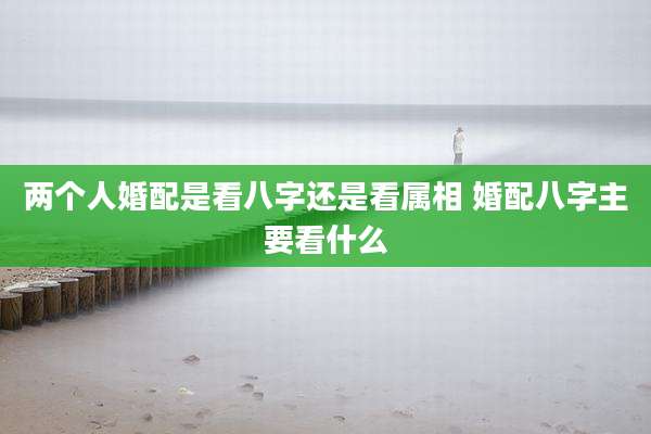 两个人婚配是看八字还是看属相 婚配八字主要看什么