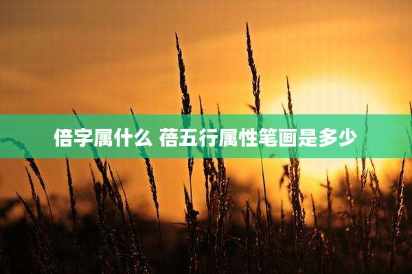 倍字属什么 蓓五行属性笔画是多少