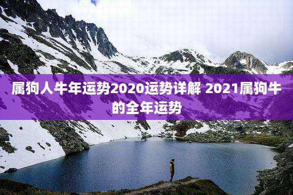 属狗人牛年运势2020运势详解 2021属狗牛的全年运势