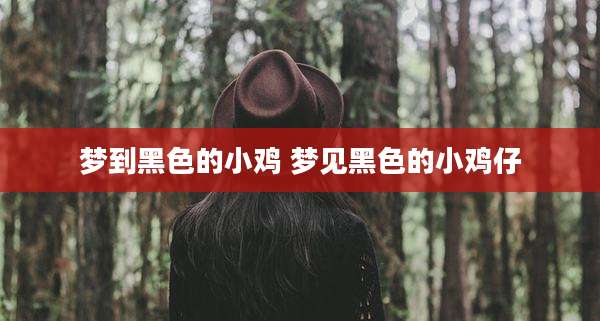 梦到黑色的小鸡 梦见黑色的小鸡仔