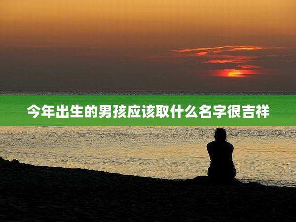 今年出生的男孩应该取什么名字很吉祥