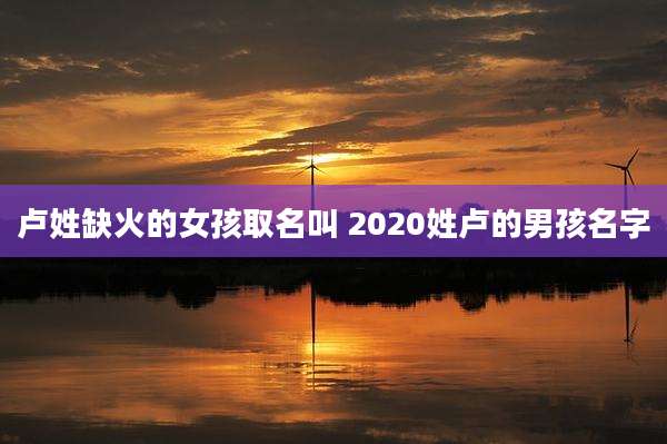 卢姓缺火的女孩取名叫 2020姓卢的男孩名字
