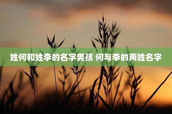 姓何和姓李的名字男孩 何与李的两姓名字
