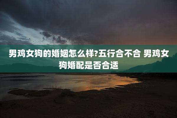 男鸡女狗的婚姻怎么样?五行合不合 男鸡女狗婚配是否合适