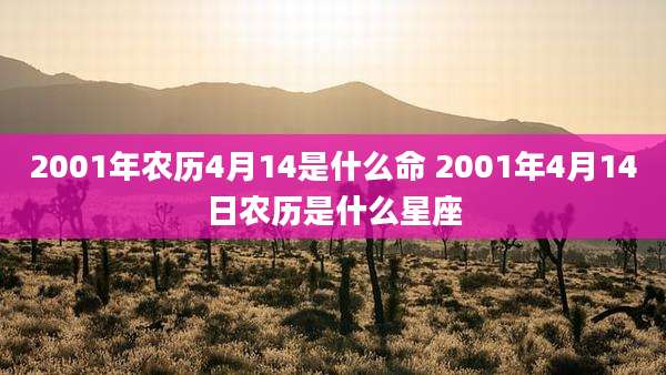 2001年农历4月14是什么命 2001年4月14日农历是什么星座