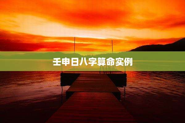 壬申日八字算命实例