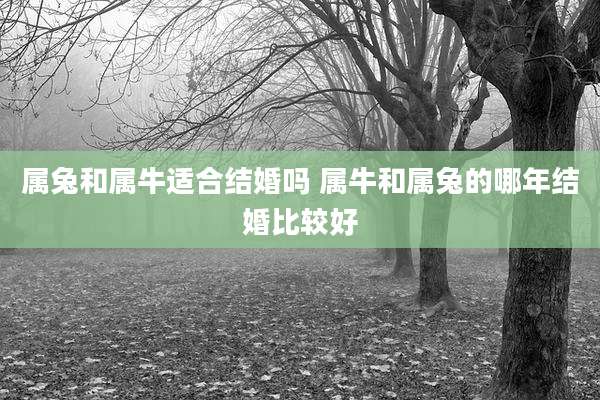 属兔和属牛适合结婚吗 属牛和属兔的哪年结婚比较好