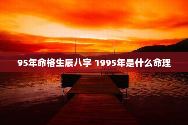 95年命格生辰八字 1995年是什么命理