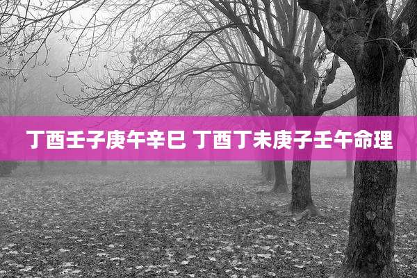 丁酉壬子庚午辛巳 丁酉丁未庚子壬午命理