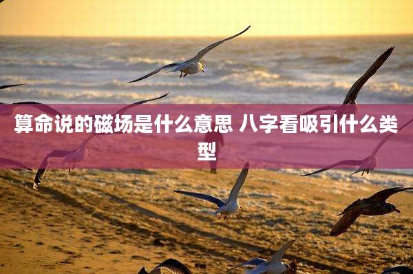 算命说的磁场是什么意思 八字看吸引什么类型