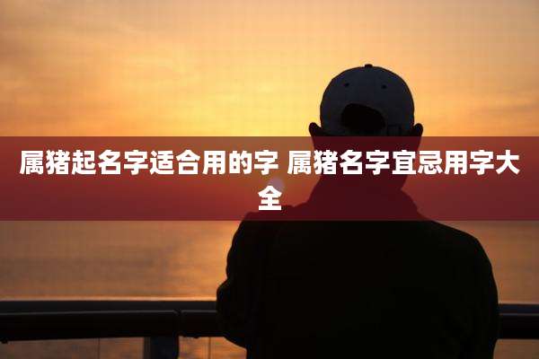 属猪起名字适合用的字 属猪名字宜忌用字大全