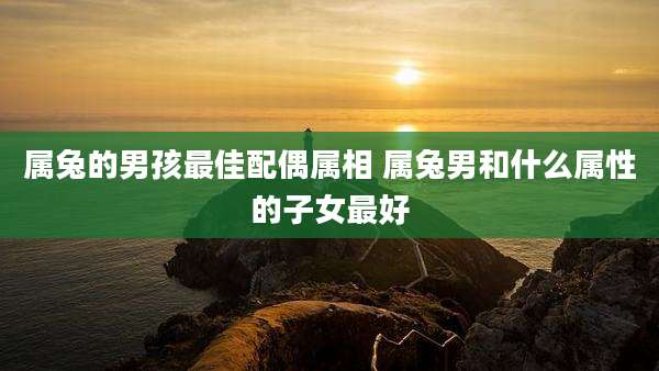 属兔的男孩最佳配偶属相 属兔男和什么属性的子女最好