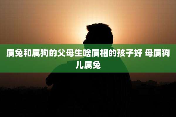 属兔和属狗的父母生啥属相的孩子好 母属狗儿属兔