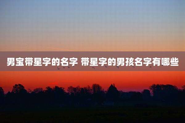 男宝带星字的名字 带星字的男孩名字有哪些