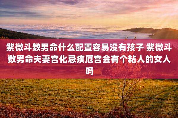 紫微斗数男命什么配置容易没有孩子 紫微斗数男命夫妻宫化忌疾厄宫会有个粘人的女人吗