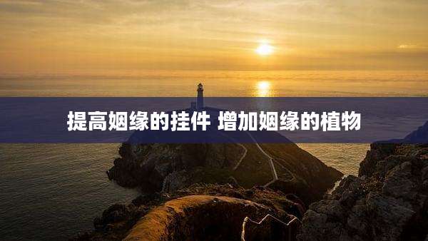 提高姻缘的挂件 增加姻缘的植物