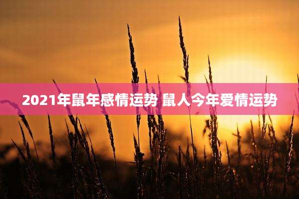 2021年鼠年感情运势 鼠人今年爱情运势