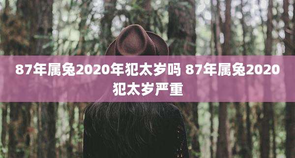 87年属兔2020年犯太岁吗 87年属兔2020犯太岁严重
