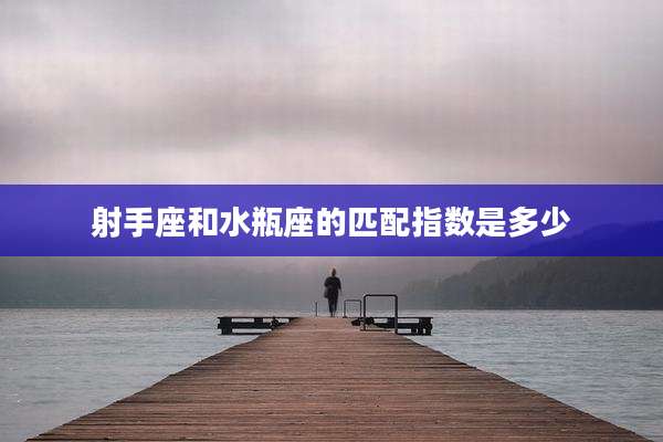 射手座和水瓶座的匹配指数是多少