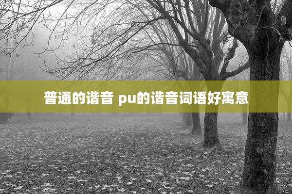 普通的谐音 pu的谐音词语好寓意