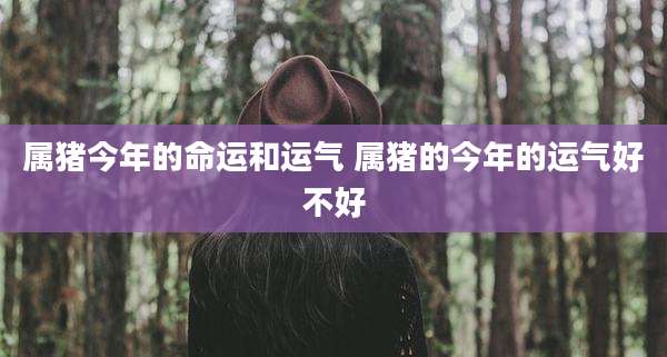 属猪今年的命运和运气 属猪的今年的运气好不好